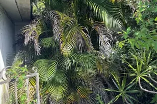 1601 NW 147th Street Dr, Miami, FL 33167 - Photo 7