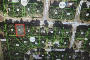 1248 W G Martinelli Blvd, Citrus Springs, FL 34434 - Photo 1