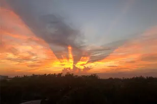 6001 N Ocean Dr, Hollywood, FL 33019 - Photo 3