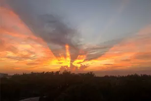 6001 N Ocean Dr, Hollywood, FL 33019 - Photo 3