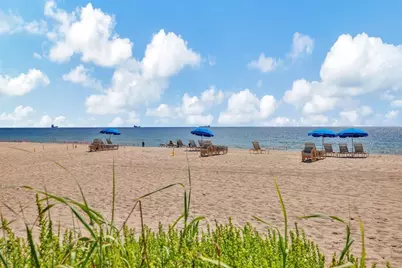 2520 Laguna Terrace, Fort Lauderdale, FL 33316 - Photo 5