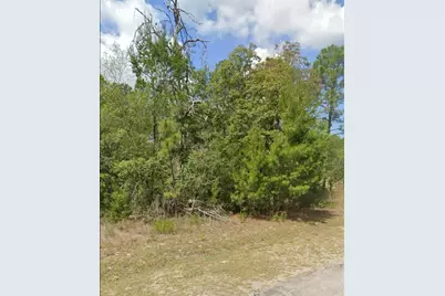 3808 W Indian Rock Place, Citrus Springs, FL 34433 - Photo 3