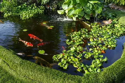 5973 SW 54th Court, Davie, FL 33314 - Photo 5