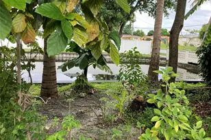 3501 NW 32nd St, Lauderdale Lakes, FL 33309 - Photo 3
