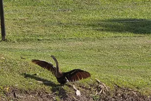 5274 SE 67th Ave., Okeechobee, FL 34974 - Photo 37