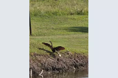 5274 SE 67th Avenue, Okeechobee, FL 34974 - Photo 39