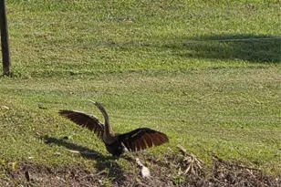 5274 SE 67th Ave., Okeechobee, FL 34974 - Photo 39