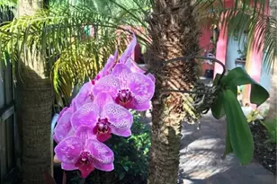 1334 NE 16th Ave, Fort Lauderdale, FL 33304 - Photo 27