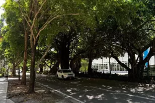 3410 Coral Wy, Miami, FL 33145 - Photo 25