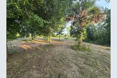 16431 NW 254th Street, Okeechobee, FL 34972 - Photo 3