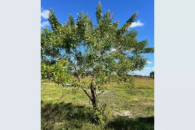 0 NW 240th, Okeechobee, FL 34972 - Photo 9