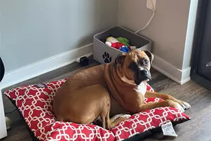 1436 NE 2nd Ave, Fort Lauderdale, FL 33304 - Photo 3