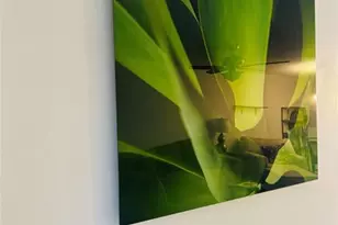 6300 S Falls Cir Dr, Lauderhill, FL 33319 - Photo 23