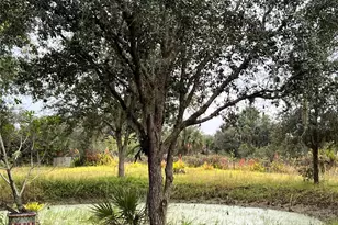 14625 NW 298th St, Okeechobee, FL 34972 - Photo 9