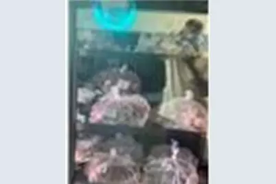 5418 W Atlantic Boulevard, Margate, FL 33063 - Photo 13