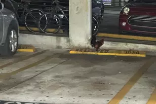 850 N Miami Ave, Miami, FL 33136 - Photo 29