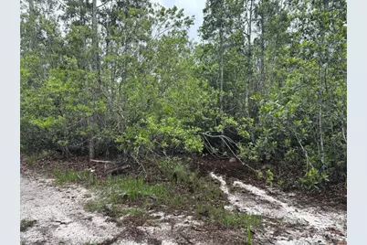 0 Holopaw Groves Road, Saint Cloud, FL 34772 - Photo 1