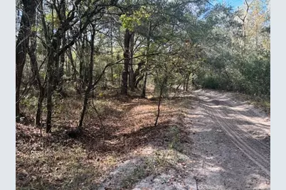 0 County Rd 54, Kathleen, FL 33849 - Photo 3