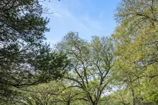 26250 Blackjack St, Brooksville, FL 34601 - Photo 1