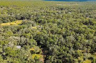 26250 Blackjack St, Brooksville, FL 34601 - Photo 63