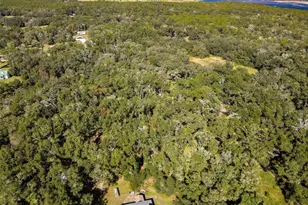 26250 Blackjack St, Brooksville, FL 34601 - Photo 59