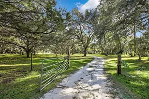 26250 Blackjack St, Brooksville, FL 34601 - Photo 5