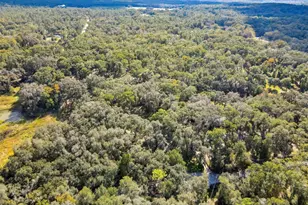 26250 Blackjack St, Brooksville, FL 34601 - Photo 53