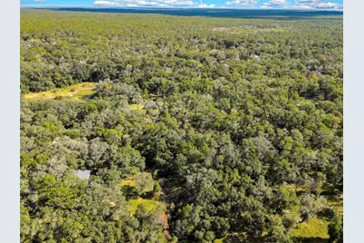 26250 Blackjack Street, Brooksville, FL 34601 - Photo 59