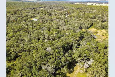 26250 Blackjack Street, Brooksville, FL 34601 - Photo 59