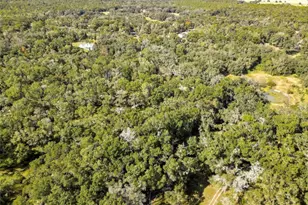 26250 Blackjack St, Brooksville, FL 34601 - Photo 55