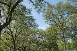 26250 Blackjack St, Brooksville, FL 34601 - Photo 3