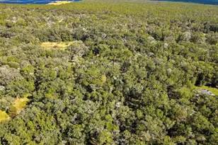 26250 Blackjack St, Brooksville, FL 34601 - Photo 57