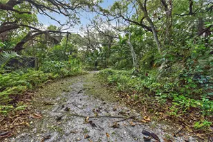 1711 SW 30th Pl, Fort Lauderdale, FL 33315 - Photo 35