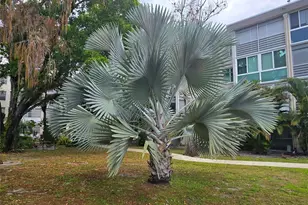 4898 NW 29th Ct, Lauderdale Lakes, FL 33313 - Photo 45