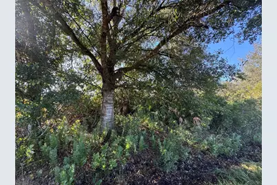 14928 NW 260th Street, Okeechobee, FL 34972 - Photo 1