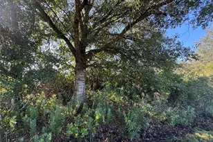 14928 NW 260th St, Okeechobee, FL 34972 - Photo 1