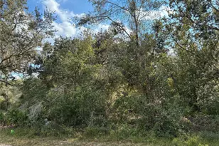 2521 Plumosa Dr, Fort Myers, FL - Photo 1