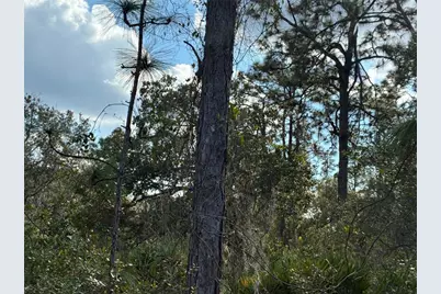 207 Plumosa Drive, Indian Lake Estates, FL  - Photo 1