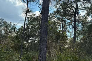 207 Plumosa Dr, Indian Lake Estates, FL - Photo 1