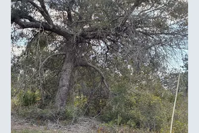 207 Plumosa Drive, Indian Lake Estates, FL  - Photo 3