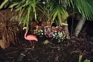 2611 NE 53rd St, Lighthouse Point, FL 33064 - Photo 55