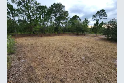 2925 W Bandra Road, Avon Park, FL 33825 - Photo 3