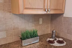 200 S Birch Unit, Fort Lauderdale, FL 33316 - Photo 5