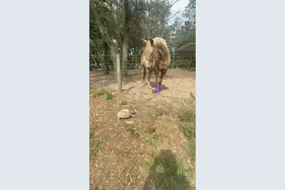 3050 E Possum Court, Inverness, FL 34452 - Photo 57