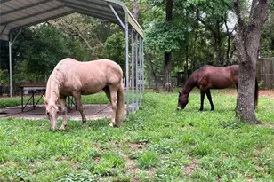 3050 E Possum Ct, Inverness, FL 34452 - Photo 59