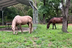 3050 E Possum Ct, Inverness, FL 34452 - Photo 59