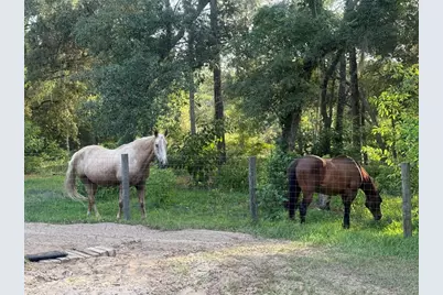 3050 E Possum Court, Inverness, FL 34452 - Photo 53