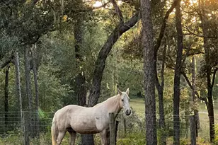 3050 E Possum Ct, Inverness, FL 34452 - Photo 61