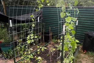 3050 E Possum Ct, Inverness, FL 34452 - Photo 49