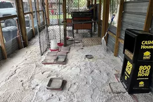 3050 E Possum Ct, Inverness, FL 34452 - Photo 71